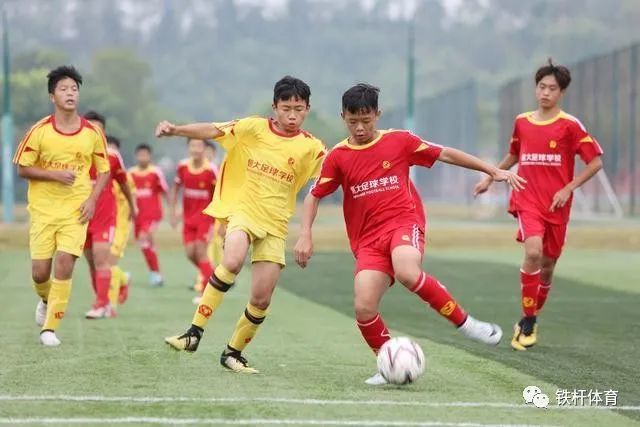  青训体系成果初现，本土新秀闪耀赛场